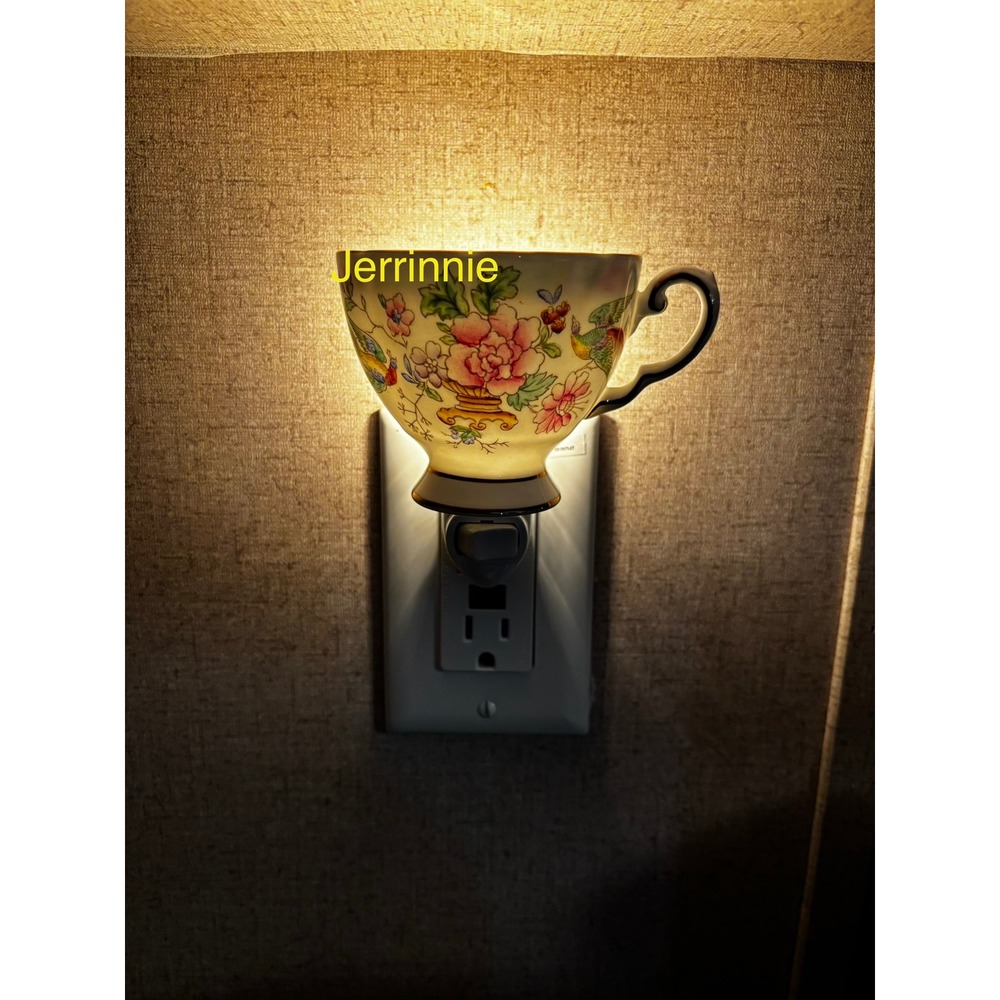 Handcrafted Vintage Floral Teacup Night Light Porcelain Bird Peony Plug In Lamp
